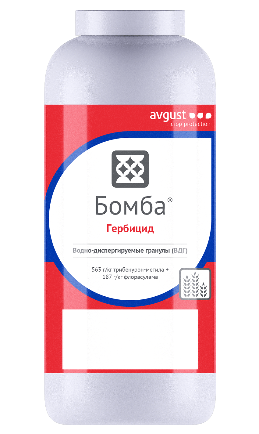 Бомба